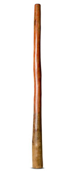CrookedStixz Didgeridoo (AH388)